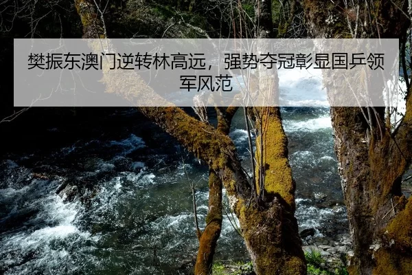 樊振东澳门逆转林高远，强势夺冠彰显国乒领军风范
